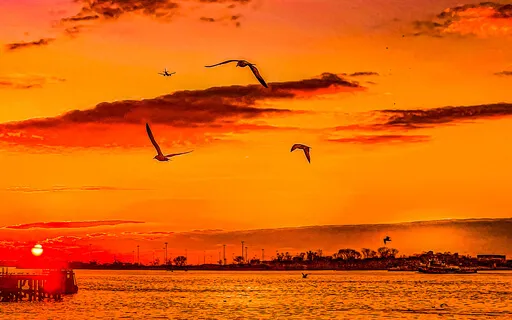 Morning Meditation For Gratitude