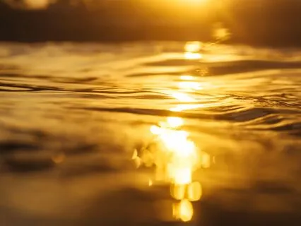 Morning Meditation For Gratitude