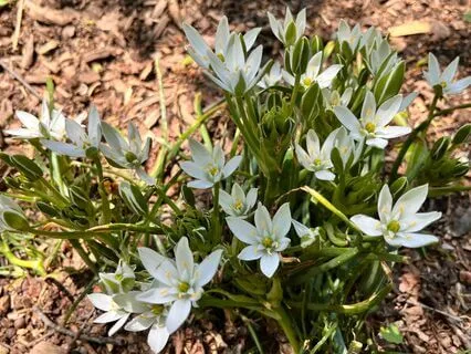 Morning Meditation For Grounding Energy Flow