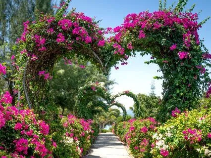 Morning Meditation For Healing Family Relationships