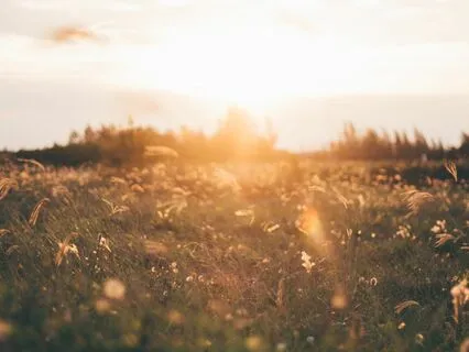 Morning Meditation For Hope, Light And Positivity