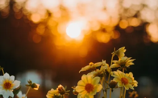 Morning Meditation For Inner Peace & Focus