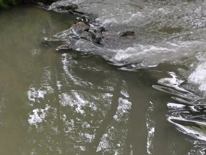 Morning Meditation For Inner Peace