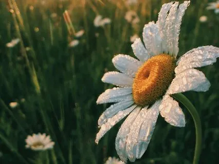 Beginners Morning Meditation For Inspiration (10 Mins)