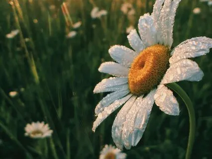 Beginners Morning Meditation For Inspiration  (5 Mins)