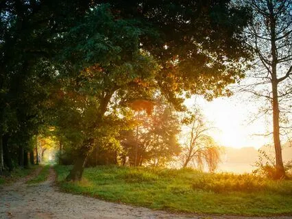 Morning Meditation For Inspiring Positivity