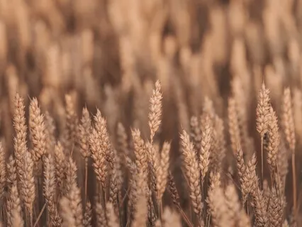 Morning Meditation For Managing Chronic Pain 