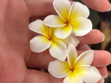 Morning Meditation For Manifestation And Intention