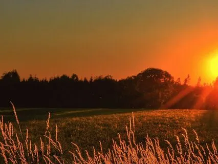 Morning Meditation For Manifestation: You Already Have It