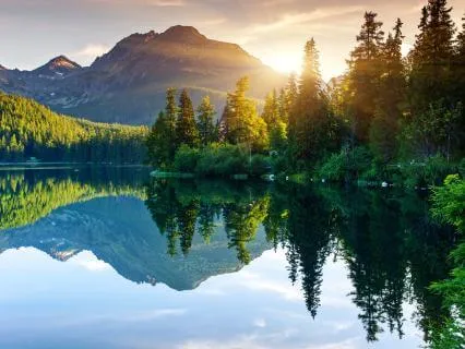 Morning Meditation For Mindful Digestion And Gut Healing