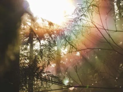 Morning Meditation For Overwhelm | Gather Your Light
