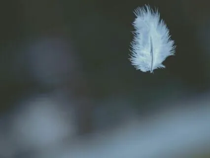 Morning Meditation For Peace And Contentment