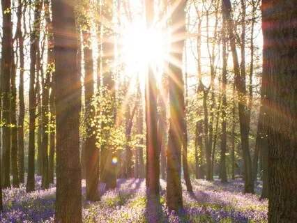 Morning Meditation For Peace And Ease