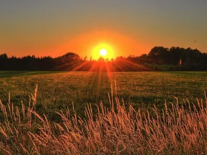 Morning Meditation For People In Recovery