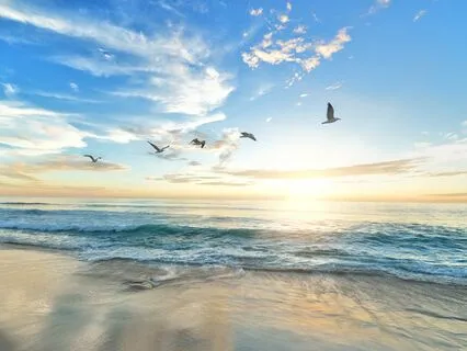 Morning Meditation For Positivity