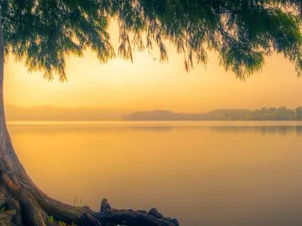 Morning Meditation For Presence & Appreciation