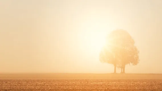 Morning Meditation For Rejuvenation   - 20 Minute Daily Insight