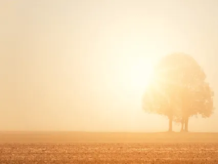 Morning Meditation For Rejuvenation - 5 Minute Daily Insight