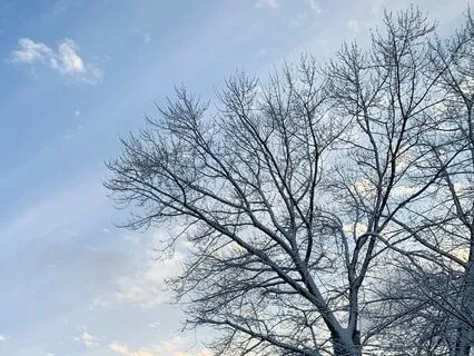 Morning Meditation For Release And Restoring Energy Flow