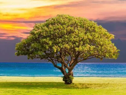 Morning Meditation For Resilience And Inner Strength