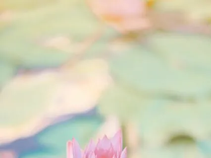 Morning Meditation For Self-Compassion And Loving Kindness