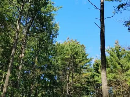 Morning Meditation For Self Love With EFT Tapping