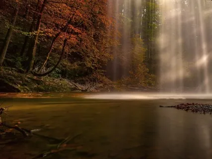 Morning Meditation For Stress Reduction