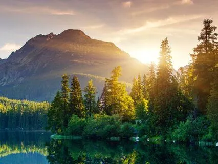 Morning Meditation For The Perfect Day