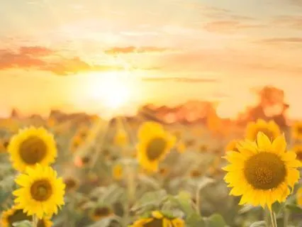 Morning Meditation For Tough Mornings