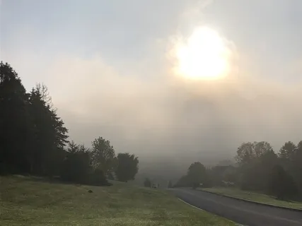 Morning Meditation - From Bed Or Seated - Forgiveness