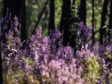 Morning Meditation: Go Easy On Yourself