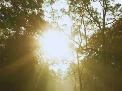 Morning Meditation | Gratitude & Abundance