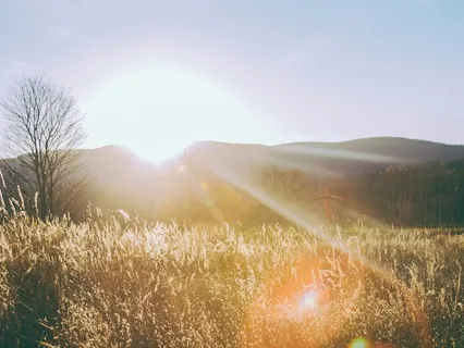 Morning Meditation, Grounded, Centred And Shielded
