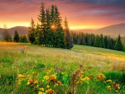 Morning Meditation Guided