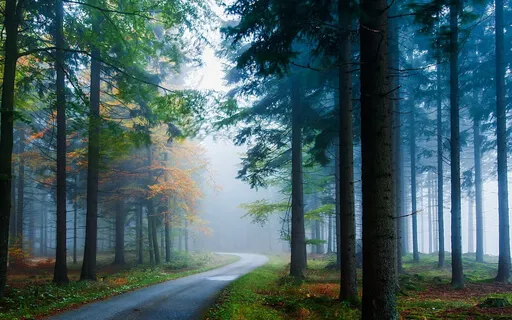 Morning Meditation: Health & Wellness With Affirmations