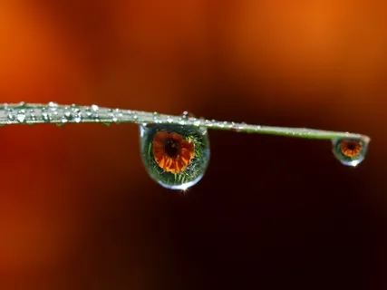 Morning Practice In The Rain