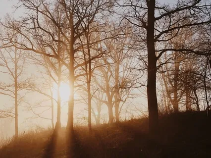 Morning Meditation: Inviting Time Into Your Day