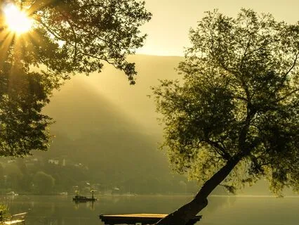 Morning Meditation Let Go Of The Past & Embrace The Present