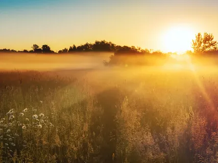 Morning Meditation: Living With Gratitude