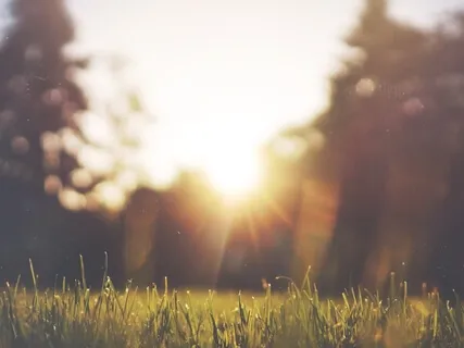 清晨冥想 (Morning meditation and intention setting Mandarin)