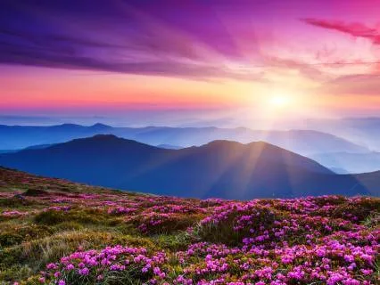 Morning Meditation: Manifestation From The Heart