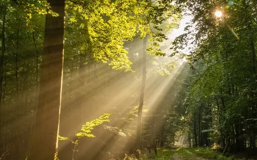 Morning Meditation Music (Positive, Uplifting, Soaring)