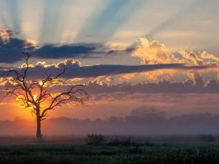 Morning Meditation: Nurturing Beginnings