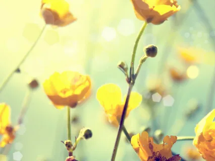 Morning Meditation On Ease & Flow 