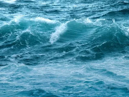 Morning Meditation On Gratitude