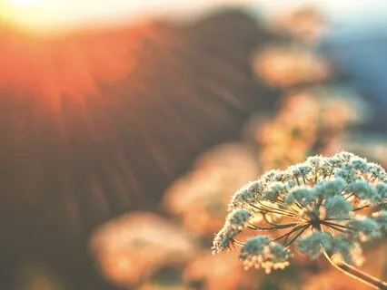 Morning Meditation ~ Opening To A New Day