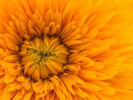 Morning Practice: Positive Energy & Motivation