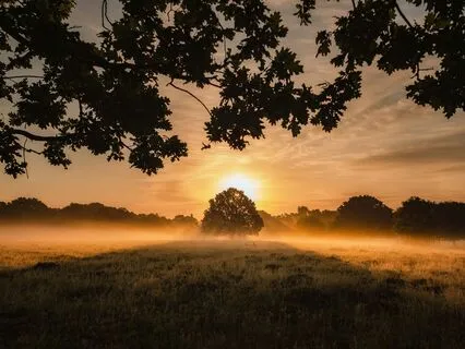 Morning Meditation: Positive Energy And Soulful Connection