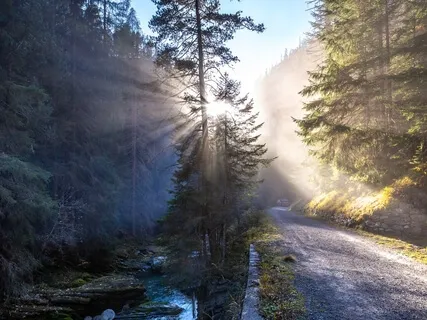 Morning Meditation For A Beautiful Day 