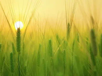 Morning Practice: Release Fear And Say "Yes" To Life